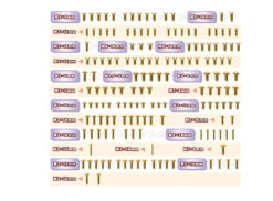 Screw Set For Xray XB8 2023 - Gold